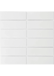 The Mosaic Factory Barcelona Rectangle White Glossy | mozaïektegel