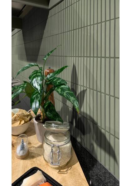 SEF20575 Sage Green Matt2